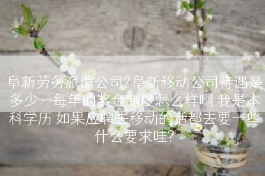 阜新劳务派遣公司?阜新移动公司待遇是多少~~每年的奖金制度怎么样啊 我是本科学历 如果应聘去移动的话都去要一些什么要求哇?