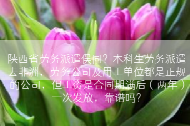 陕西省劳务派遣俣同？本科生劳务派遣去非洲，劳务公司及用工单位都是正规的公司，但工资是合同期满后（两年）一次发放，靠谱吗？