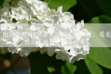出国劳务网?加拿大出国劳务问题。 看看我是否具有出国条件。?