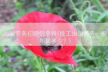 出国劳务招聘信息网(技工出国劳务一般年薪多少？)