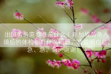 出国劳务需要准备什么（新加坡劳务入境后的体检都有什么项目，请说明白些，急、急、急，谢谢！）