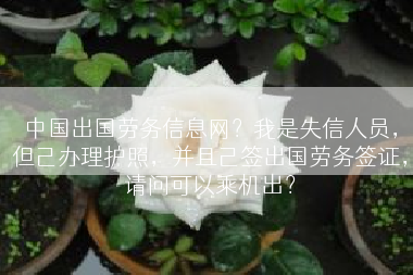 中国出国劳务信息网？我是失信人员，但己办理护照，并且己签出国劳务签证，请问可以乘机出？