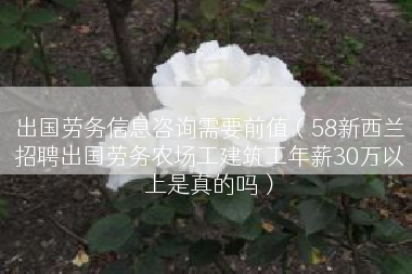 出国劳务信息咨询需要前值（58新西兰招聘出国劳务农场工建筑工年薪30万以上是真的吗）