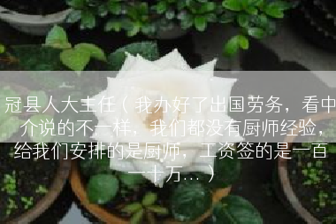 冠县人大主任（我办好了出国劳务，看中介说的不一样，我们都没有厨师经验，给我们安排的是厨师，工资签的是一百一十万...）