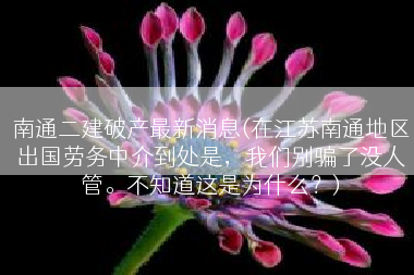 南通二建破产最新消息(在江苏南通地区出国劳务中介到处是，我们别骗了没人管。不知道这是为什么？)