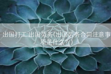 出国打工 出国劳务(出国劳务合同注意事项是什么？)