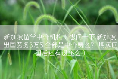 新加坡留学中介机构（想问一下 新加坡出国劳务3万5 全部是中介费么？ 期满回国后还有退还么）