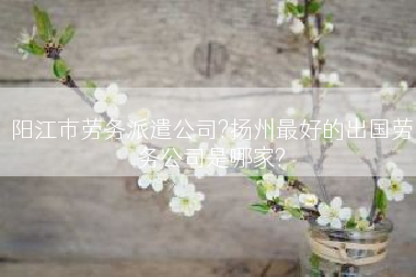 阳江市劳务派遣公司?扬州最好的出国劳务公司是哪家?