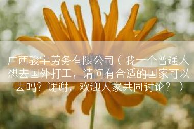 广西骏宇劳务有限公司（我一个普通人想去国外打工，请问有合适的国家可以去吗？谢谢，欢迎大家共同讨论？）