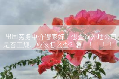出国劳务中介哪家好（想查询外地公司是否正规，应该怎么查？急！！！！！！）