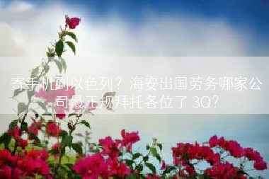 寄手机到以色列？海安出国劳务哪家公司最正规拜托各位了 3Q？