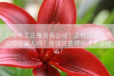 出国务工正规劳务公司？正规出国劳务公司会骗人吗？我该注意哪些才不会被骗？