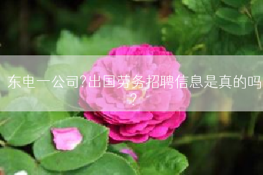 东电一公司?出国劳务招聘信息是真的吗?