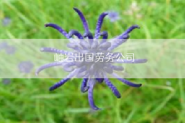 岫岩出国劳务公司