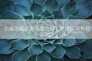 上海正规劳务派遣公司（中建出国有招工吗）