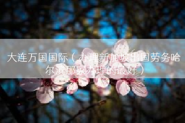 大连万国国际（办理新加坡出国劳务哈尔滨那家办理的最好）