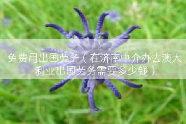 免费用出国劳务（在济南中介办去澳大利亚出国劳务需要多少钱）
