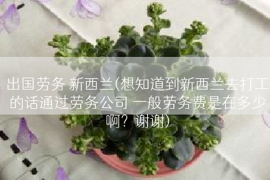 出国劳务 新西兰(想知道到新西兰去打工的话通过劳务公司 一般劳务费是在多少啊？谢谢)