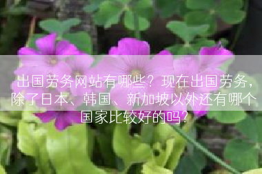 出国劳务网站有哪些？现在出国劳务，除了日本、韩国、新加坡以外还有哪个国家比较好的吗？