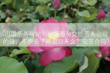 出国劳务网站？出国劳务交给劳务公司的钱，不想去了能退回来么？没签合同？