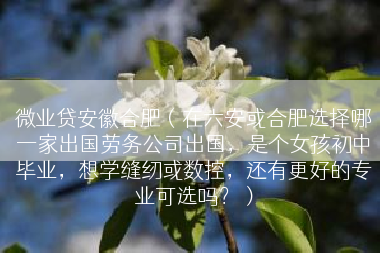 微业贷安徽合肥（在六安或合肥选择哪一家出国劳务公司出国，是个女孩初中毕业，想学缝纫或数控，还有更好的专业可选吗？）