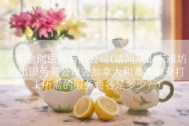 广东金瑞医药有限公司(请问从山东潍坊的出国劳务公司去加拿大和澳大利亚打工所需的服务费各是多少？)