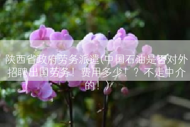 陕西省政府劳务派遣(中国石油是否对外招聘出国劳务！费用多少！？不走中介的！)