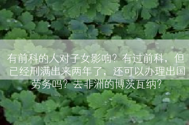 有前科的人对子女影响？有过前科，但已经刑满出来两年了，还可以办理出国劳务吗？去非洲的博茨瓦纳？