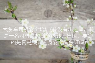大货车司机安全培训(我没有出过国，我是一名司机，想所争的钱，出国，要钱的是真是假，人身安全有保证吗)
