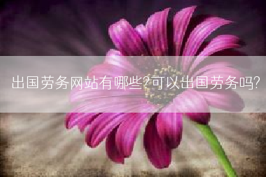 出国劳务网站有哪些?可以出国劳务吗?