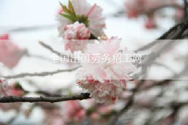 全国出国劳务招工网