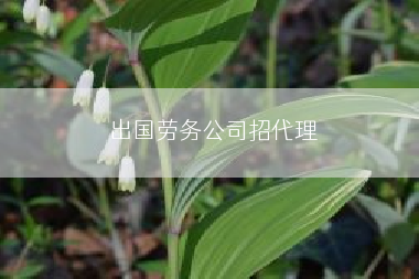 出国劳务公司招代理