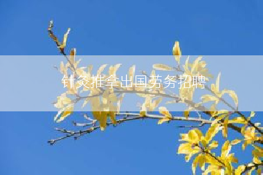 针灸推拿出国劳务招聘