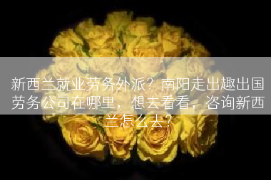 新西兰就业劳务外派？南阳走出趣出国劳务公司在哪里，想去看看，咨询新西兰怎么去？