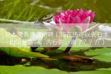 日本劳务派遣招聘（现在还可以去日本出国劳务吗，内行答，谢了？？//）
