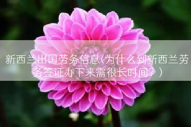 新西兰出国劳务信息(为什么到新西兰劳务签证办下来需很长时间？)