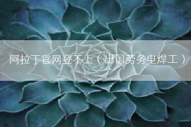阿拉丁官网登不上（出国劳务电焊工）