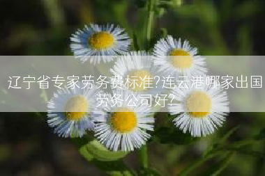辽宁省专家劳务费标准?连云港哪家出国劳务公司好?