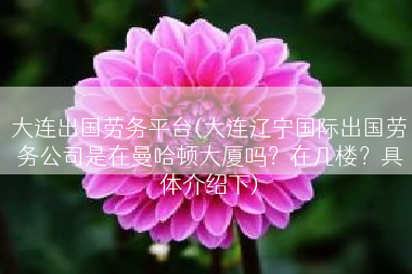 大连出国劳务平台(大连辽宁国际出国劳务公司是在曼哈顿大厦吗？在几楼？具体介绍下)