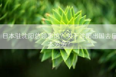日本驻沈阳总领事馆？关于沈阳出国去日本劳务？