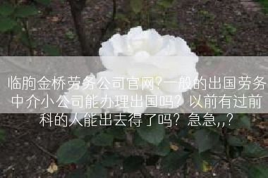 临朐金桥劳务公司官网?一般的出国劳务中介小公司能办理出国吗？以前有过前科的人能出去得了吗？急急,,?