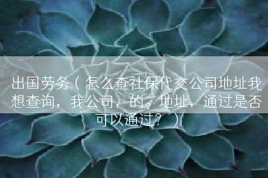 出国劳务（怎么查社保代交公司地址我想查询，我公司，的。地址，通过是否可以通过？）