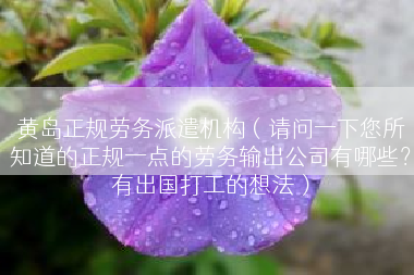 黄岛正规劳务派遣机构（请问一下您所知道的正规一点的劳务输出公司有哪些？有出国打工的想法）