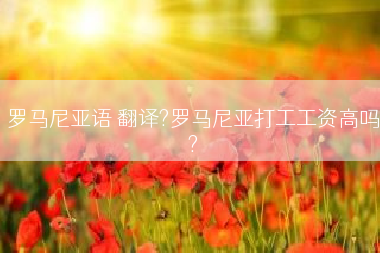 罗马尼亚语 翻译?罗马尼亚打工工资高吗?