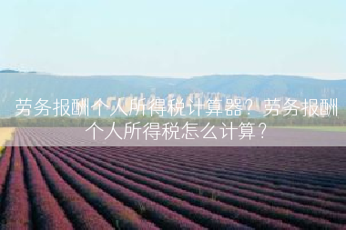 劳务报酬个人所得税计算器？劳务报酬个人所得税怎么计算？