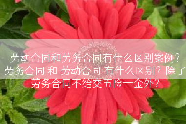 劳动合同和劳务合同有什么区别案例？劳务合同 和 劳动合同 有什么区别？除了劳务合同不给交五险一金外？