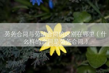 劳务合同与劳动合同的区别在哪里（什么样的合同是劳务合同）
