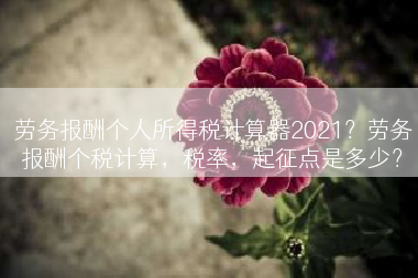 劳务报酬个人所得税计算器2021？劳务报酬个税计算，税率，起征点是多少？