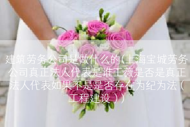 建筑劳务公司是做什么的(上海宝城劳务公司真正法人代表是谁王薇是否是真正法人代表如果不是是否存在为纪为法（工程建设）)
