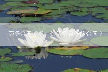 劳务合同（求一份劳务合作的合同）